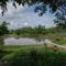 Dholes Den Bandipur