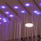 Hotel Eldia Yamanashi (Adult Only)
