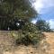 Luberon maison de village entière 2 à 6 personnes
