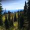 Alpenrose Revelstoke Bed & Breakfast - ريفيلستوك