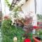 Camere de inchiriat Sandra