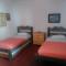 Foto: Hostal Cedro Negro 33/53