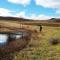 Tillietudlem Nature Reserve - Impendle