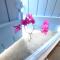 Villa Aphrodite