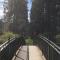 Rashfield Sheilings - Riverside Lodges, by Pucks Glen, Dunoon