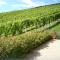 Ferienhaus Weingut Bauer