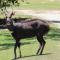 Woodbourne Resort - Knysna