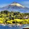 Depto Pucon 800
