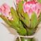 Agulhas Heights self-catering cottages BEST OCEAN VIEWS