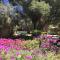 Apartment Bougaivillea by Finca Es Torrent