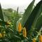 Flane Gite Rural De Tourisme