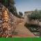 Aksos Suites Accessible Accommodation