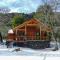 Cabañas en Termas de Chillán