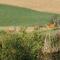 Agriturismo Colombaiolo