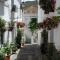 "El Porton" (El Borge ,Malaga).