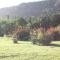 Hubbs Place