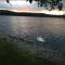 Tegid Lodge- Pine Lake Resort