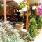 Lile Pestani Accommodation