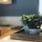 Apartament Neret II