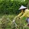 Yi Tian Homestay - Fengli