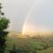 Amazing Views Pet Friendly Bed and Breakfast