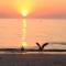 Die Braaihuis, sleeps 6, Central and Fabulous!
