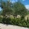 Apartment Josip 2