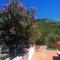 Apartments Anamaria - Dubrovnik