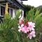 Garten Apartment Diwoky