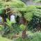 Coromandel Cottages