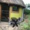 Nyore Hillside Retreat