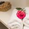 Luxury Rooms Saint Jacob