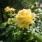 Kreuzstein Bed&Breakfast