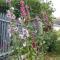 Chateau d'Annezay photo 23