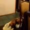 Hostal Parcela 47 villarrica