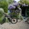 Le Jardin Sauvage photo 20