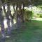 Avonlea Cottages