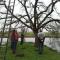 de Boomgaard Groene Hart