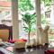 Foto: Hoi An Rosemary Boutique Hotel 81/83