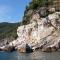 Camping Nuovo