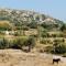 Apollon Resort