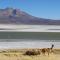 Foto: Hostal Vientos del Altiplano 20/58