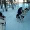 Auroracabin Chalets