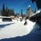 Auroracabin Chalets
