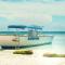 Ranguana Caye Cabanas