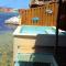 Lina Point Belize Overwater Resort