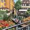 Maison avec terrasse Colmar Centre-Cottage garden terrace Center Old Town Colmar - Colmar