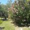 Apartment Istrian view