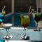 Blue Marlin Hotel