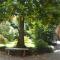 B&B il Cortile Malpensa